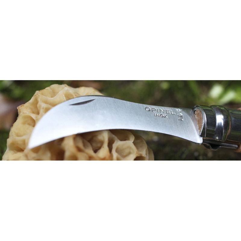 Couteau Plumier n°8 champignon